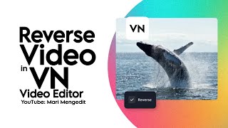 How to Reverse a Video with VN Video Editor App screenshot 4
