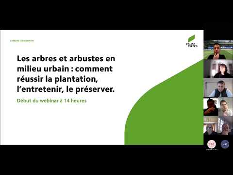Vidéo: Action : plantation et entretien, fonctionnalités de culture et recommandations