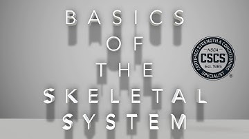 Basics of the Human Skeletal System | NSCA CSCS Chapter 1 | Lift Anywhere
