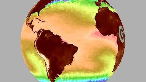 Global sea surface temperature