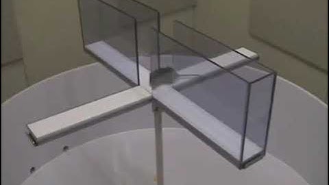 Elevated Plus Maze for Mice