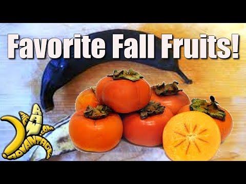 Chris Kendall The Raw Advantage - favorite fall fr...