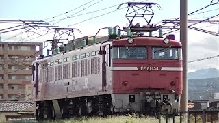 EF81 134 単機回送
