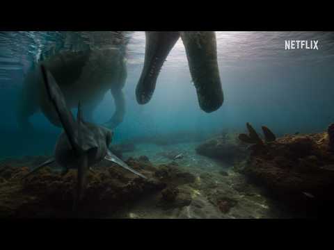 Spinosaurus vs Shark | Deadly Ocean Ambush | The Dinosaurs | Netflix