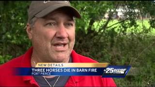 3 horses die in barn fire