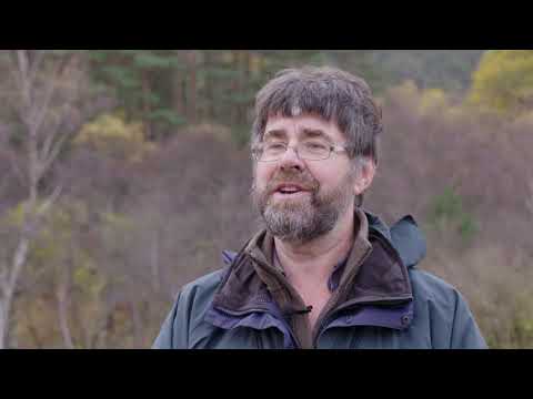 Saving Scotland's Rainforest presents Rainforest People - Jon Mercer