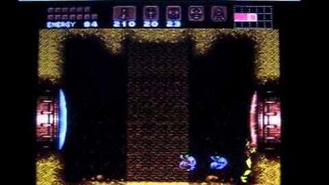 Botwoon-Skip with Blue-Suit and minimal equipment