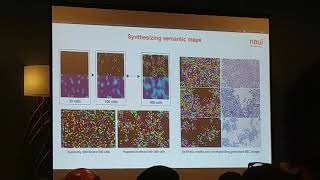 CVPR 2019 - 1 - Red blood cell image generation for data augmentation using CGAN