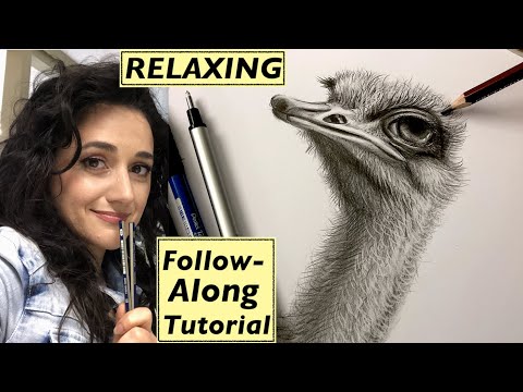How To Draw an Ostrich Bird ASMR