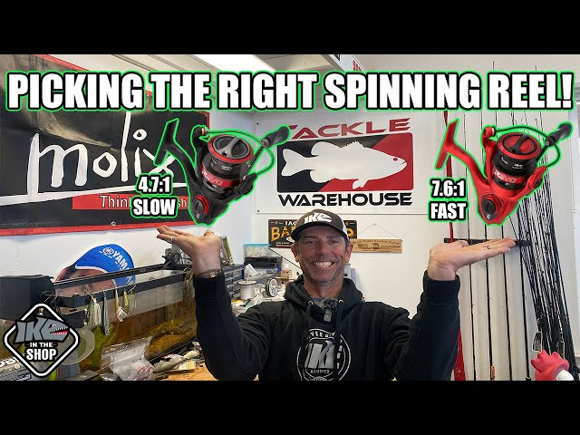 Picking The RIGHT Spinning Reel!!! (Gear Ratio Explained!) 