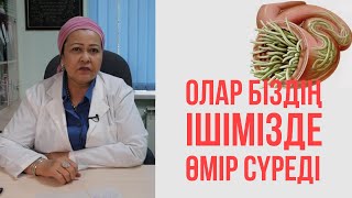 Бізде қандай құрттар бар? Аскариданы қалай емдеуге болады?