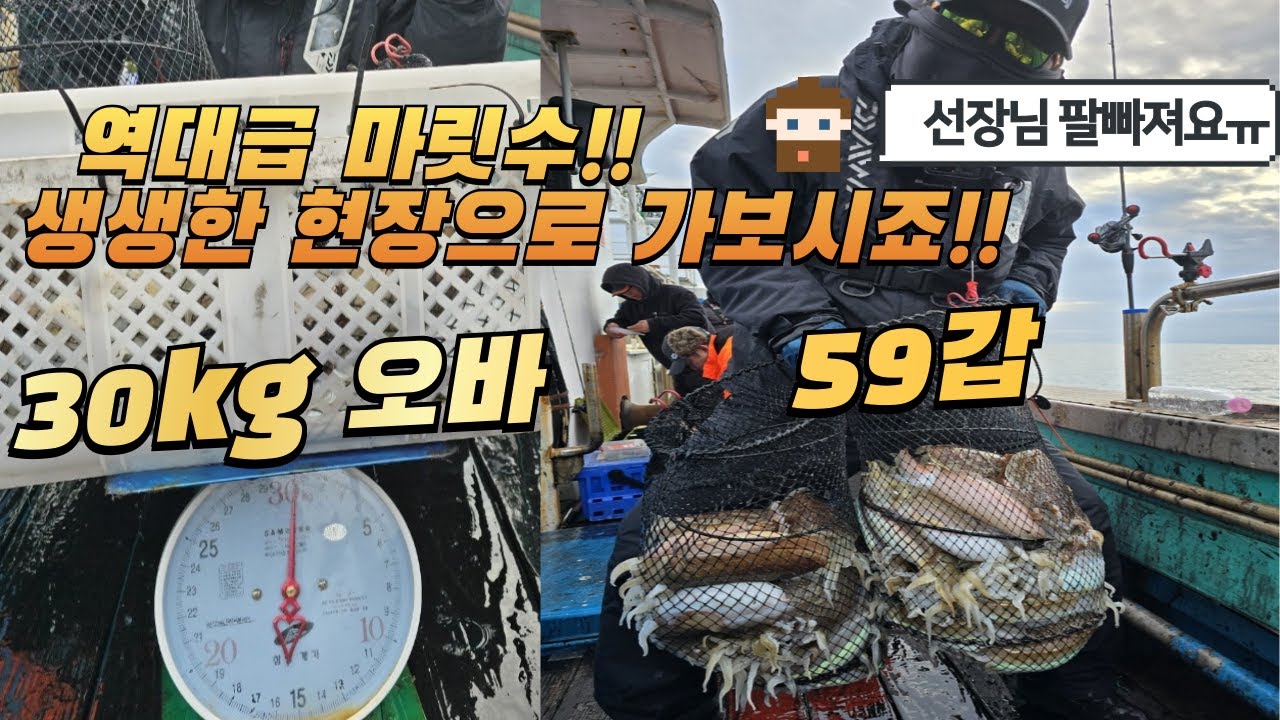 제주한달낚시 2일차만에 초대형사고 치고 왔습니다 : 4가지 패턴을 빠르게 찾아야 조과상승!! : #심해갑오징어 #コウイカ