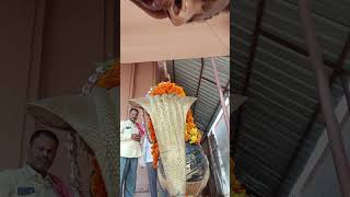 Panch Cosee Parikrma Pdav 5