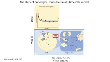 Lecture on Uncertainty in QSP modelling