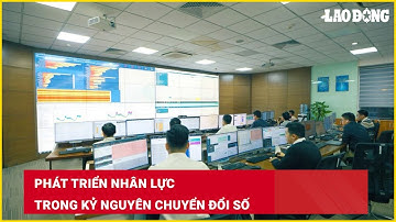 Phát triển nhân lực trong kỷ nguyên chuyển đổi số | Báo Lao Động