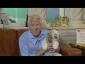 Should Your Pet Have Health Insurance?