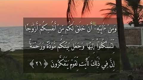 الشيخ نعمة الحسان - سورة الروم - من الآية 17 إلى الآية 24