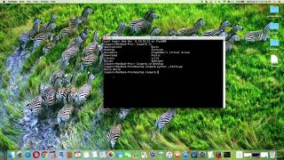 18  Run Python Program File in Terminal