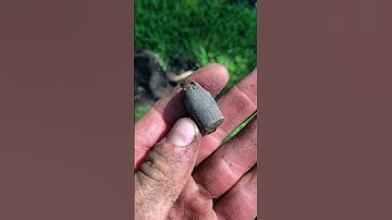 Hunting around these giant old oaks for lost history #fyp #metaldetec