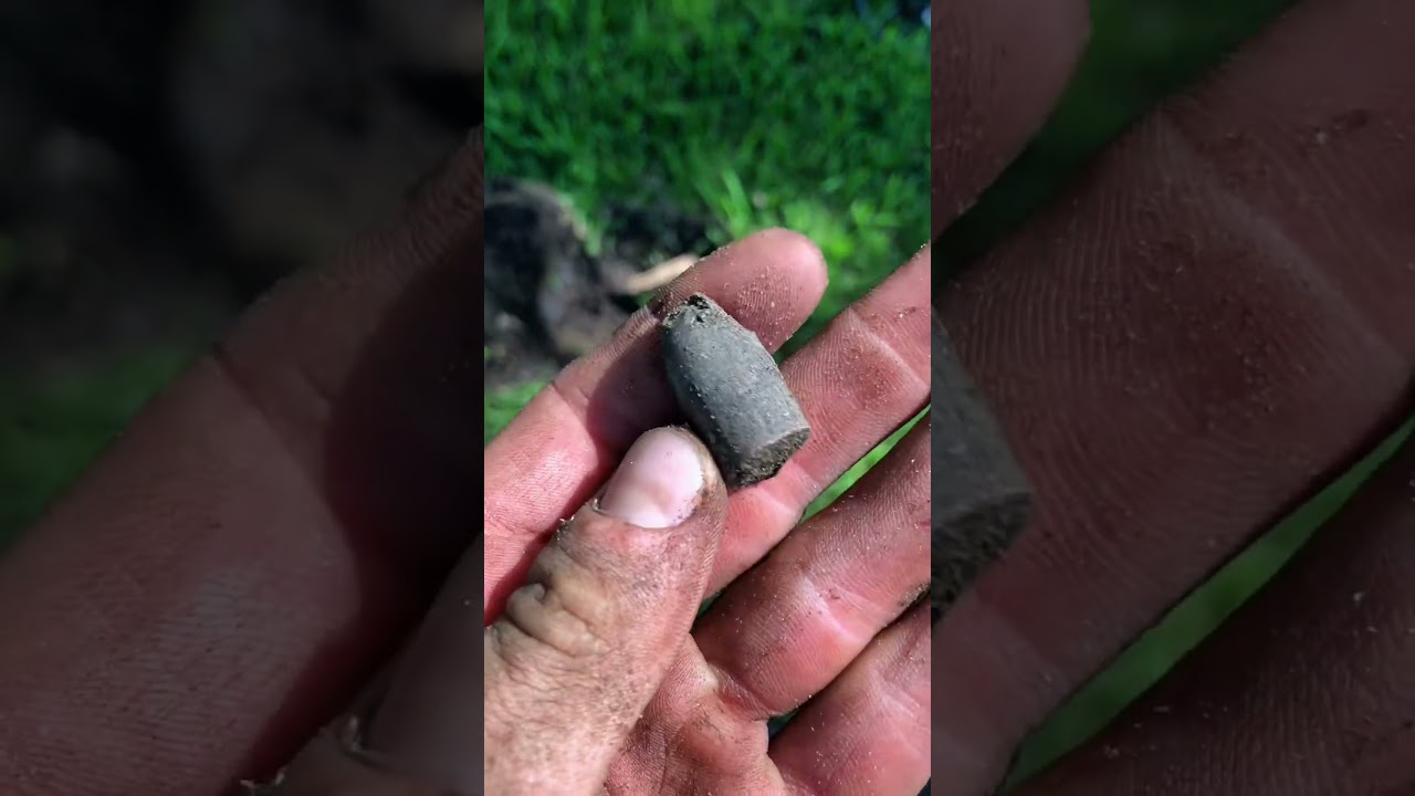 Hunting around these giant old oaks for lost history 