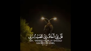 القارئ يوسف المرهون تلاوة خاشعة