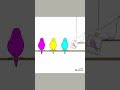 CMYKインコ #animation