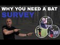 Why Do I Need A Bat Survey?