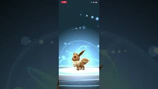 #pokemongo Evolving an Eevee into Glaceon