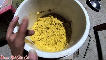 Mồi câu cá trôi, chép, trắm, mồi ngũ cốc kết hợp cám và bắp trần ủ chua || fishing Đam Mê Câu Cá