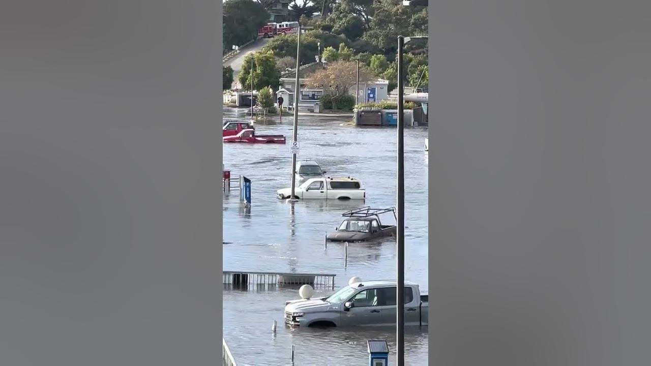 Tsunami Santa Cruz, California January 15, 2022 YouTube