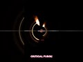 Critical Purge