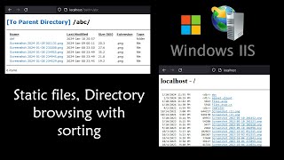 Static file hosting and directory browsing in IIS