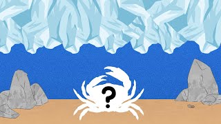 Why did 10 billion snow crabs disappear?