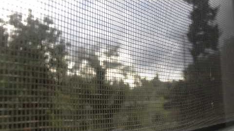 Crow Speaks - Winter In A Glass House in infancy