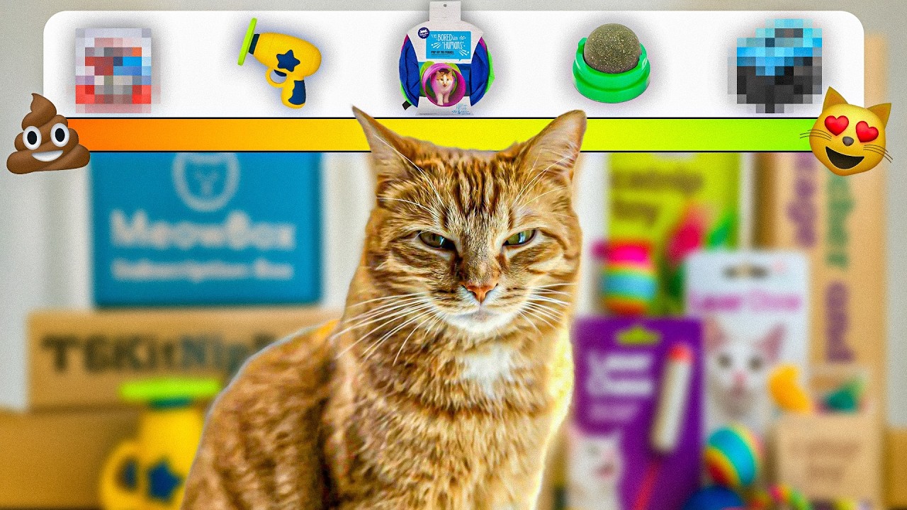 Kurt’s Top 10 Cat Toys of All Time