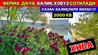 картинка: ХИВА ФЕРМАХОНА, БАЛИҚ ХОВУЗ, ДАЧА СОТИЛАДИ ХИВА 19-сентября 2025 г.