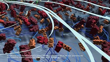 SC22: Cultivating Macroalgae for Biofuels: Visualizing the Chemistry