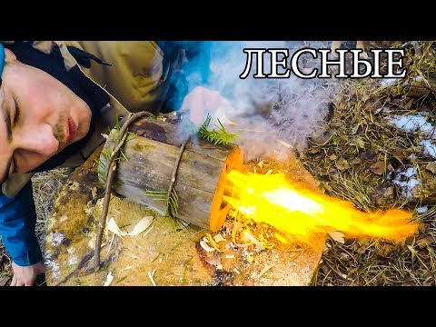 Видео: 7 ПРОСТЫХ СОВЕТОВ ДЛЯ ЛЕСА | 7 BUSHCRAFT TIPS