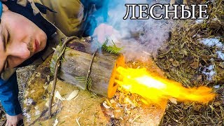 : 7     | 7 BUSHCRAFT TIPS