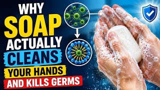 Why Soap Actually Cleans Your Hands and Kills Germs