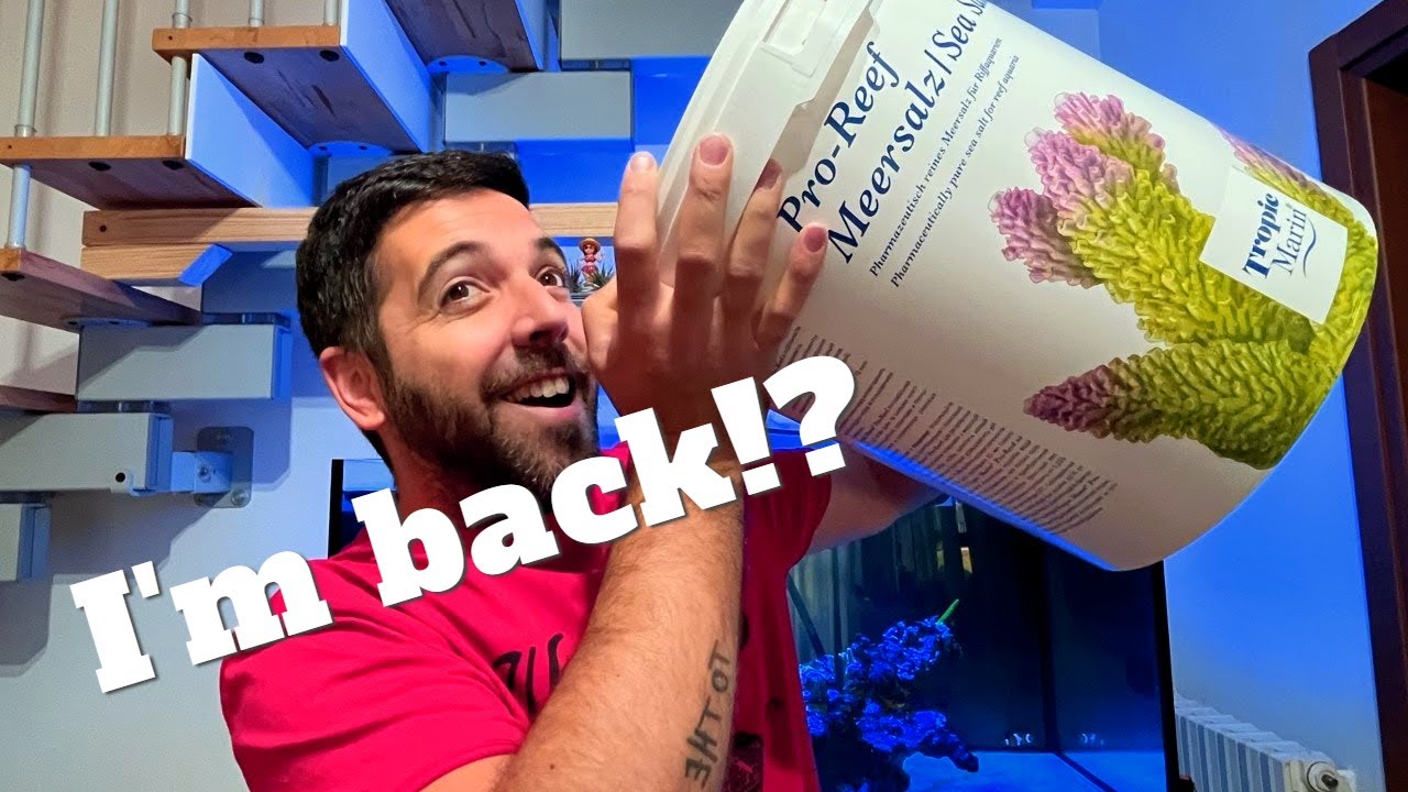 SONO TORNATO! ...per restare?