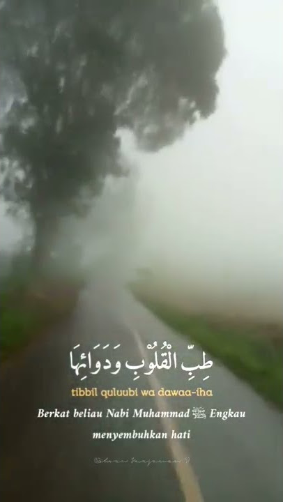 sholawat Syifa #sholawat #story #shorts #shortvideo