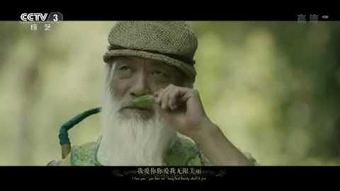 Yunnan China  Travel Guide and Culture Introduction video - colorful Yunnan