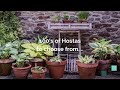 Rewelahostas.com is a specialist mail order Hosta nursery. Providing quality plants grown in the heart of the Yorkshire countryside. A huge number of varieties to choose from with expert advice available. Please note the Hosta nursery is NOT open to the public, visits must be by appointment only.