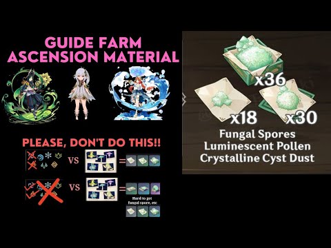 Guide Farming Fungal Spore, Luminescent Pollen dan Crystalline Cyst