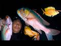 BERBURU IKAN UNTUK LAUK DI RUMAH (NIGHT SPEARFISHING EPISODE 25)