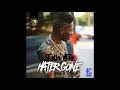 Shatta Wale - Hater Gone (Audio Slide)