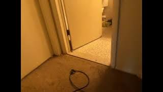 78579591189  638C2244 0BA4 454F 9C72 1730D9B0A458