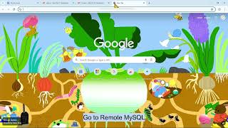 Bluehost Wordpress.org MySQL Database Connection with DBeaver