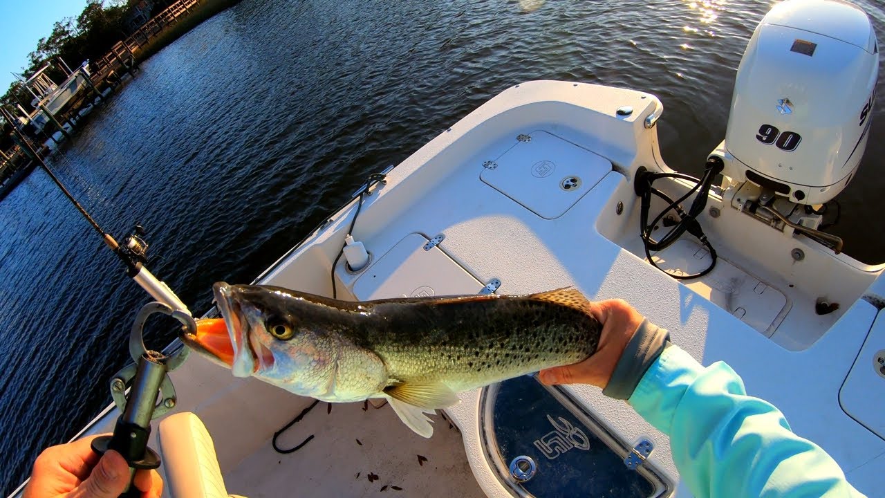 speckled trout/sea trout fishing in late fall. Seatrout fishing w/z man